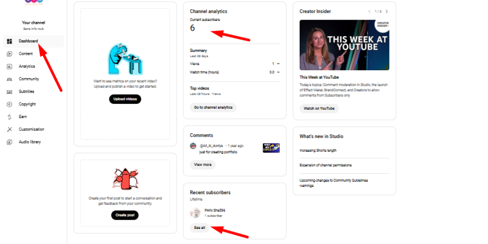 check-youtube-subscriber-details