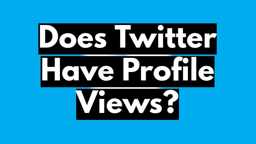 Does Twitter Have Profile Views?