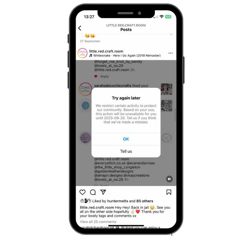 instagram-bugs